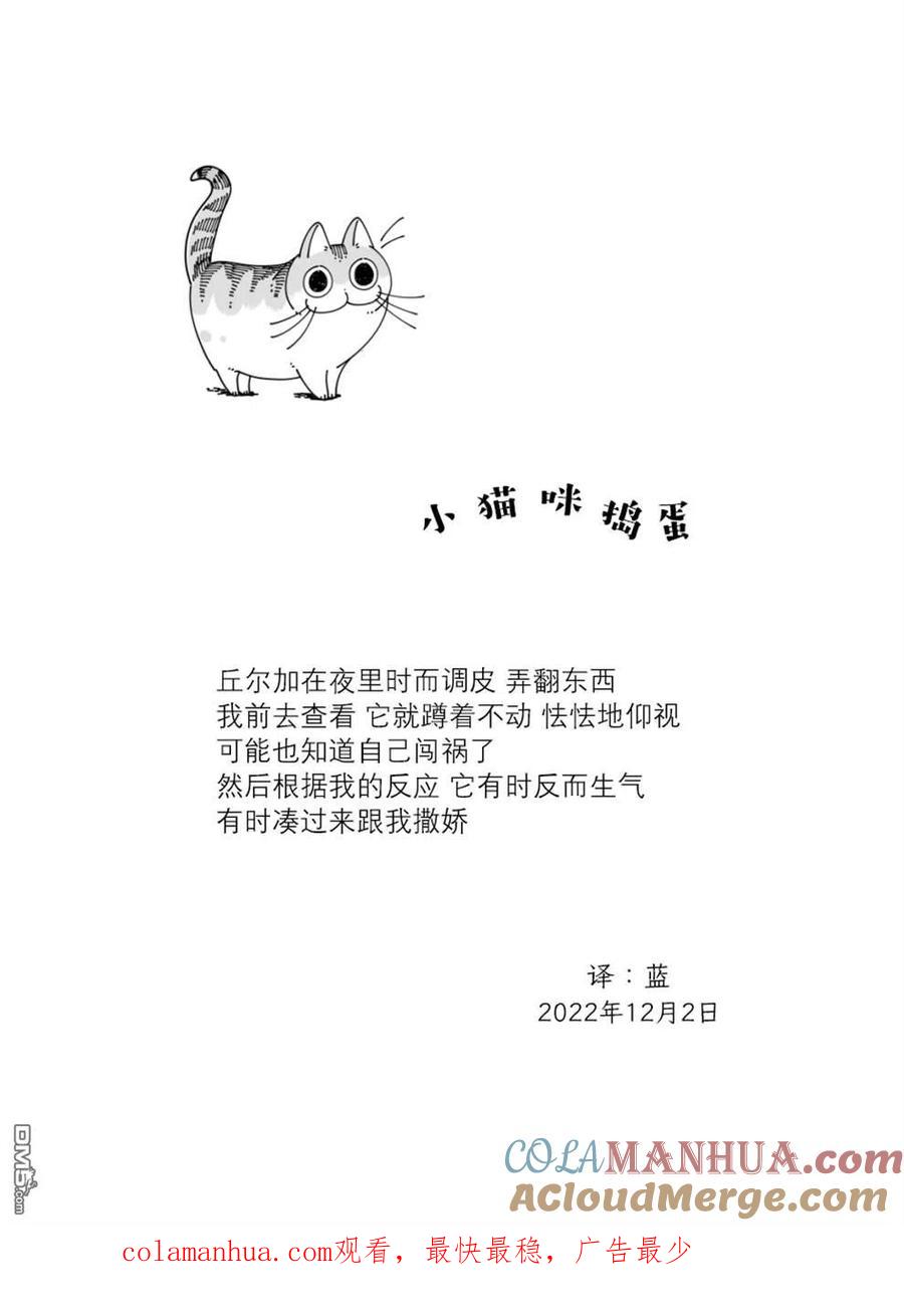 第143话-关于养猫我一直是新手-キュルZ（第3张）
