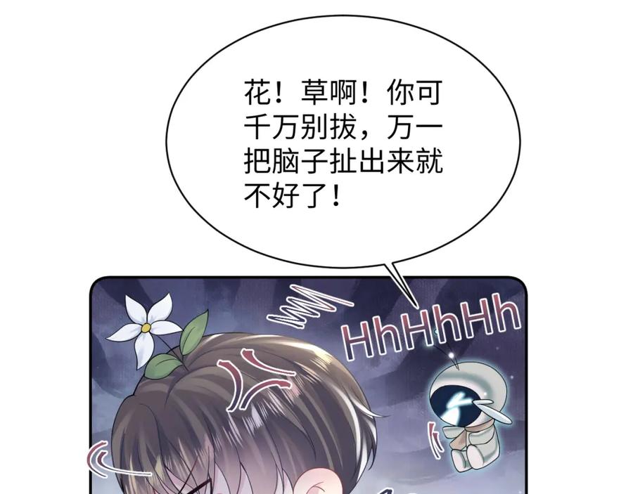 78.jpg
