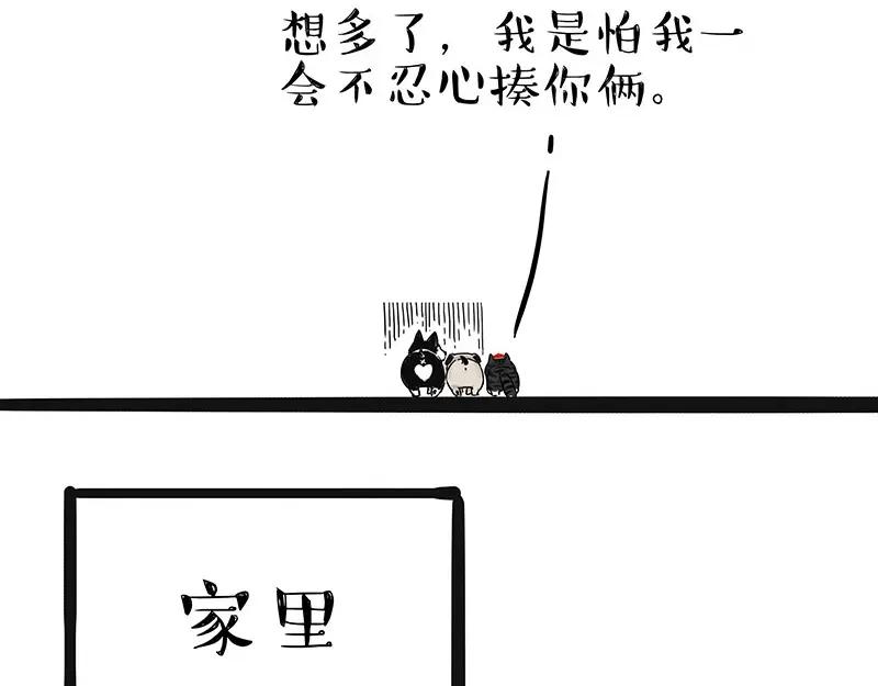 52.jpg