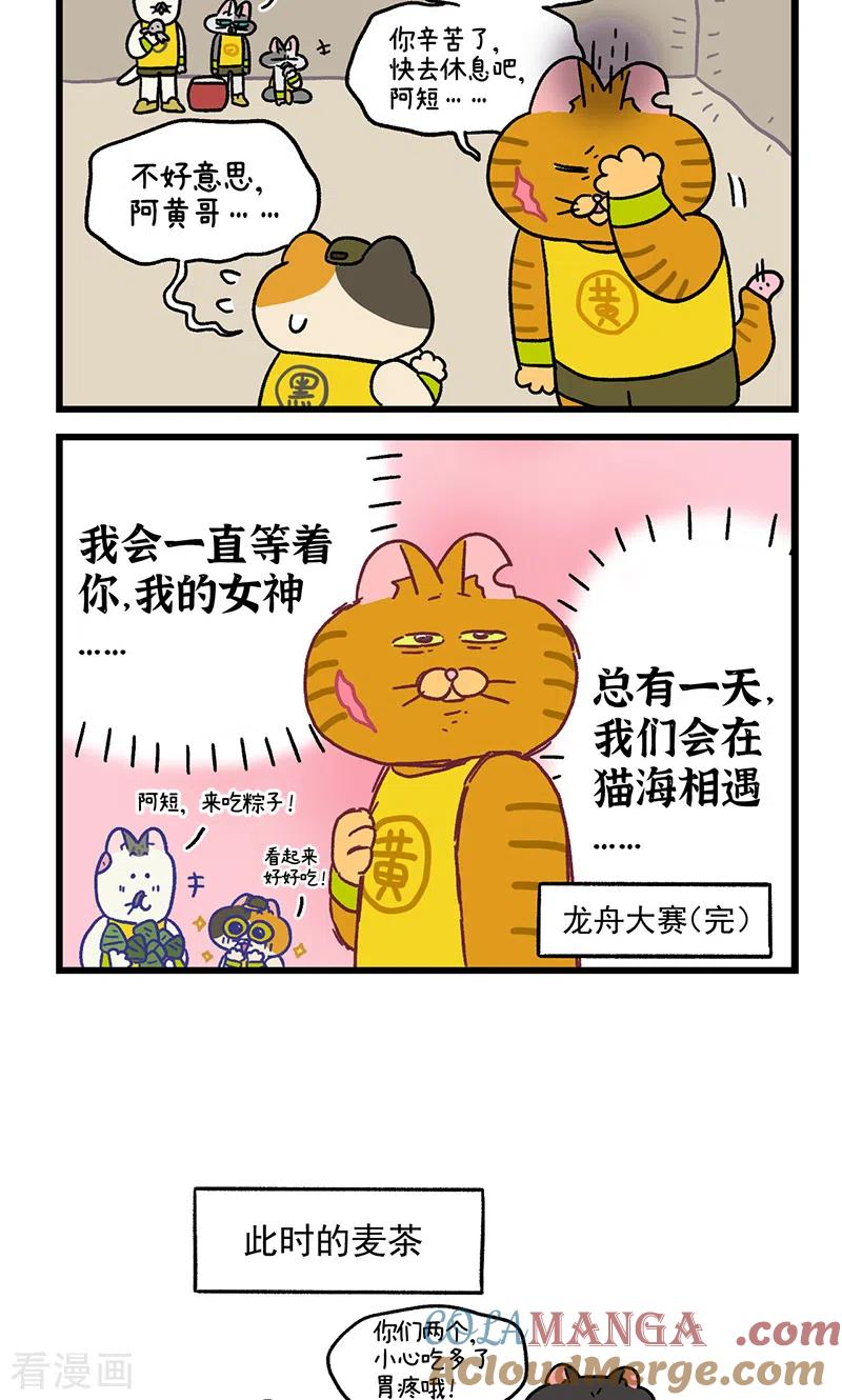 番外19下龙舟大赛2-阿满和麦茶-新漫画 日胖大海寺（第6张）