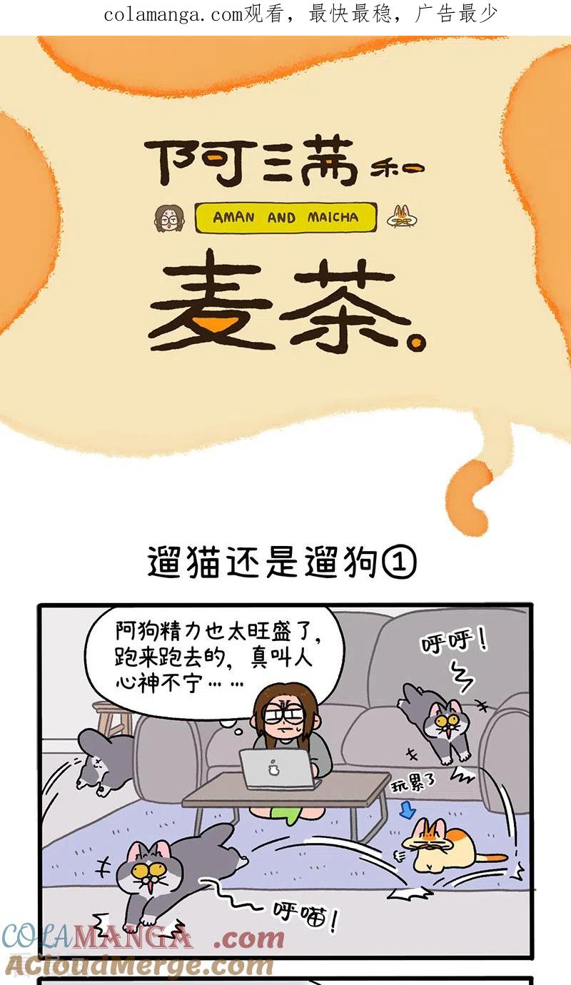 第95话1遛猫还是遛狗-阿满和麦茶-新漫画 日胖大海寺（第1张）