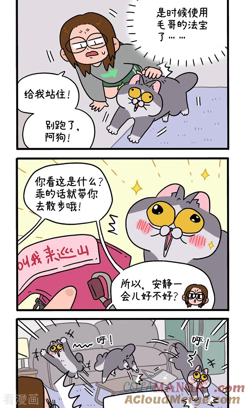 第95话1遛猫还是遛狗-阿满和麦茶-新漫画 日胖大海寺（第2张）