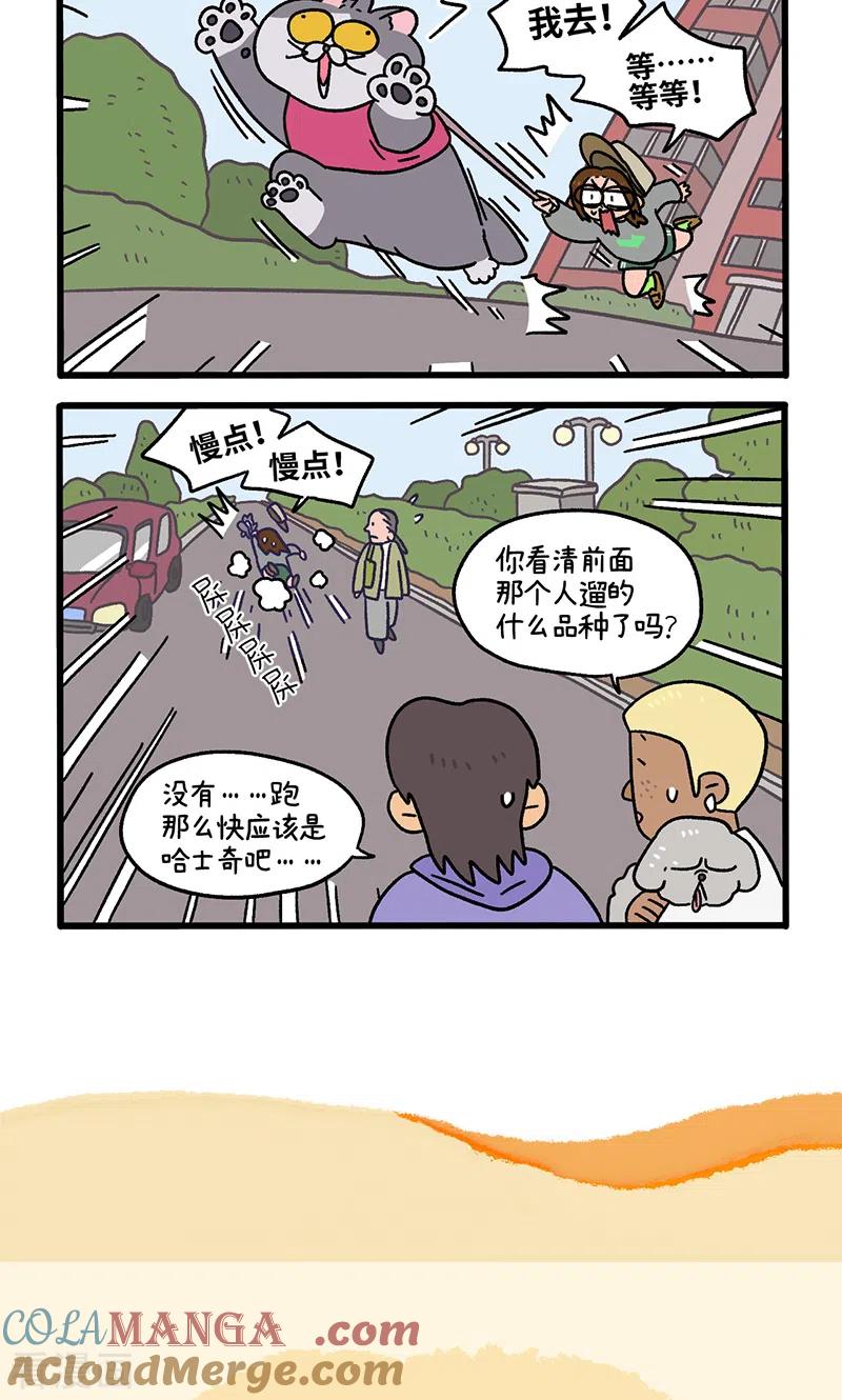 第95话1遛猫还是遛狗-阿满和麦茶-新漫画 日胖大海寺（第6张）
