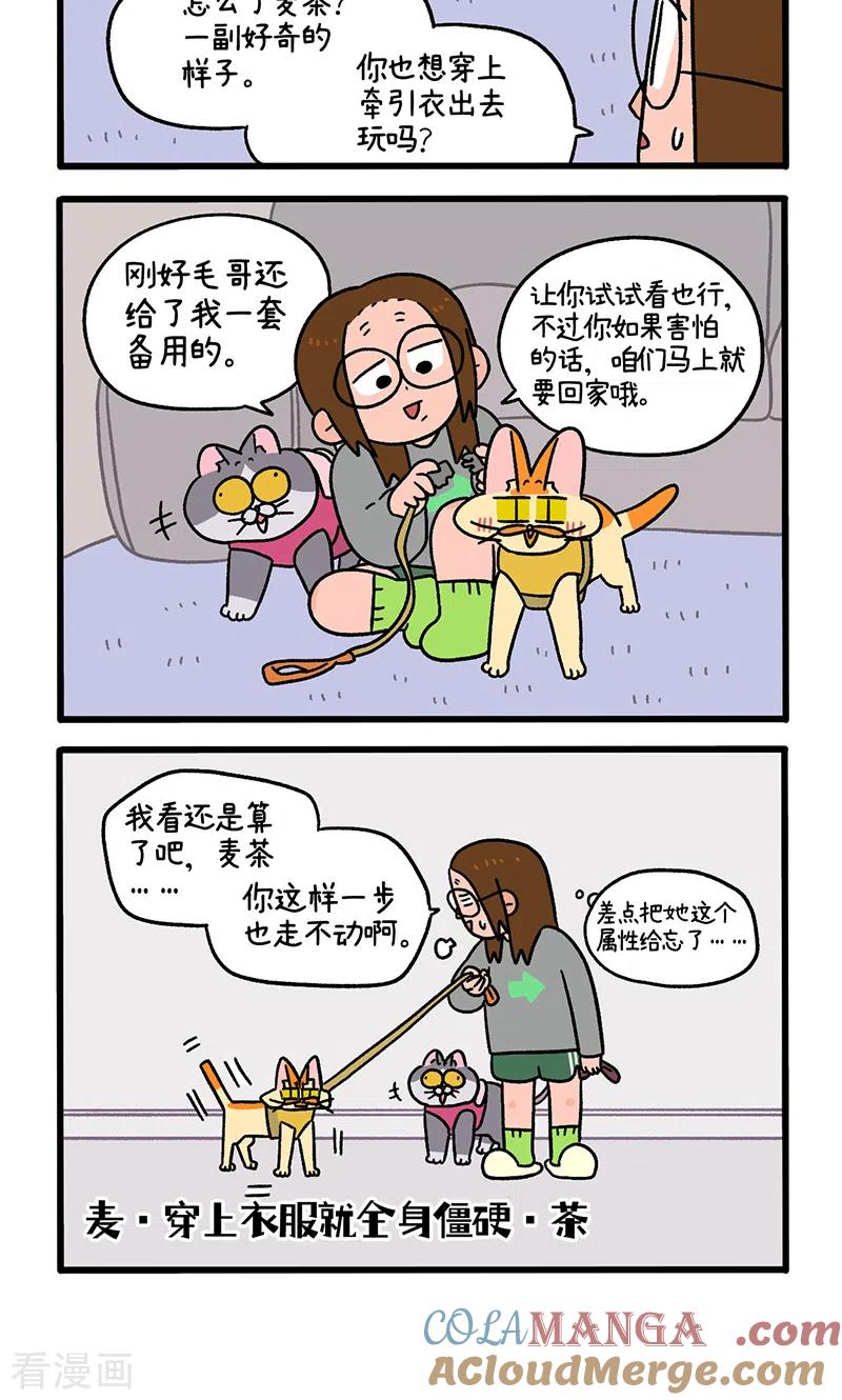 第95话1遛猫还是遛狗-阿满和麦茶-新漫画 日胖大海寺（第4张）