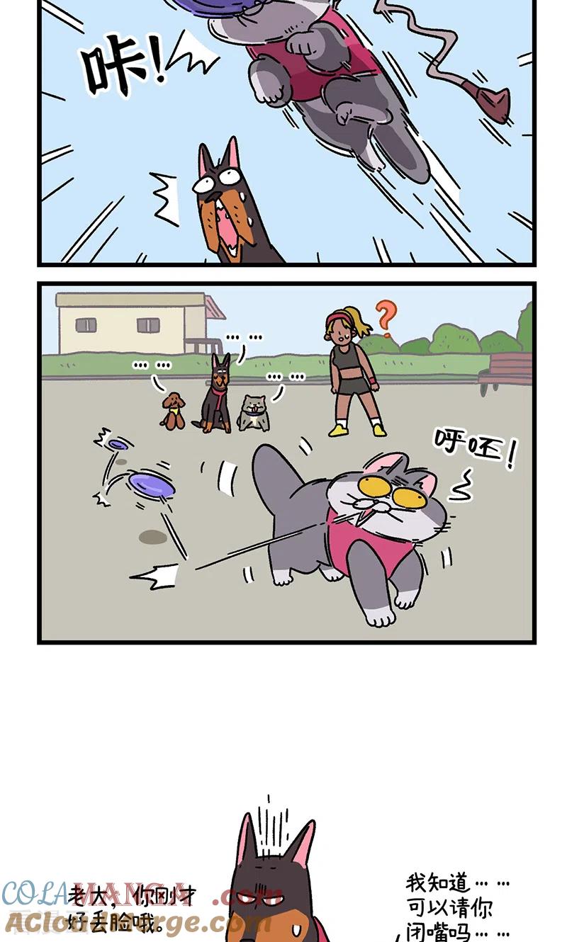 第95话2遛猫还是遛狗-阿满和麦茶-新漫画 日胖大海寺（第6张）