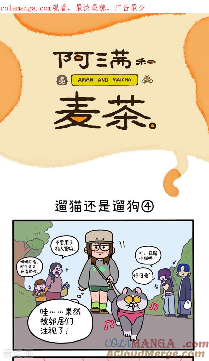 第95话2遛猫还是遛狗-阿满和麦茶-新漫画 日胖大海寺（第1张）