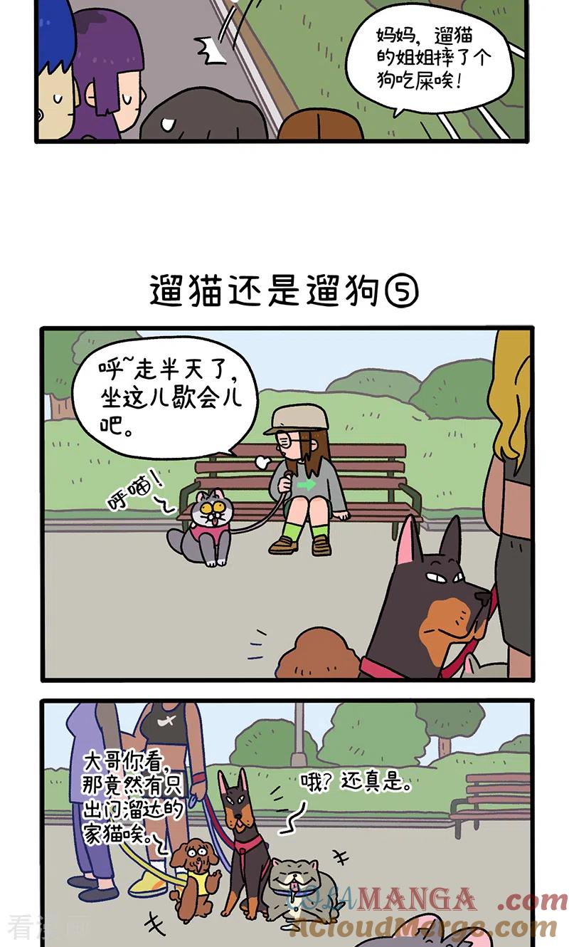 第95话2遛猫还是遛狗-阿满和麦茶-新漫画 日胖大海寺（第3张）