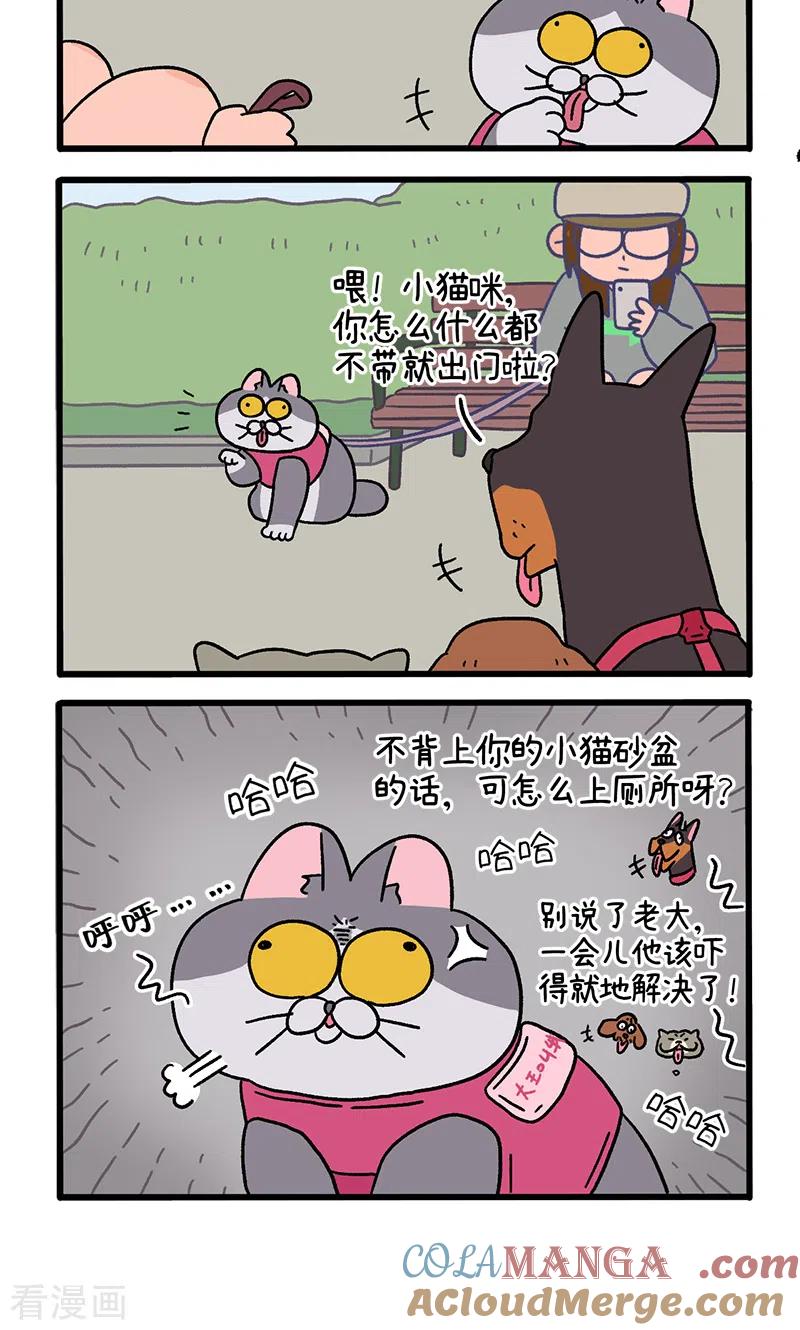 第95话2遛猫还是遛狗-阿满和麦茶-新漫画 日胖大海寺（第4张）