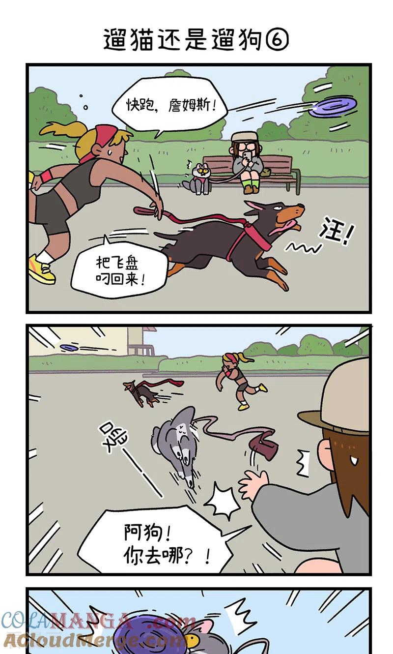 第95话2遛猫还是遛狗-阿满和麦茶-新漫画 日胖大海寺（第5张）
