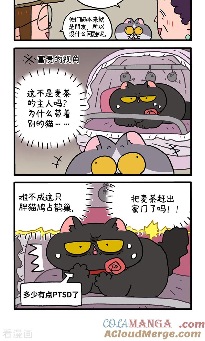 第96话1再会老朋友-阿满和麦茶-新漫画 日胖大海寺（第4张）
