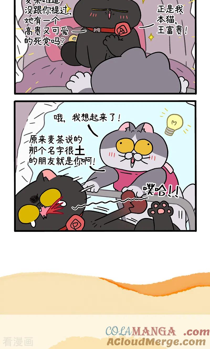 第96话1再会老朋友-阿满和麦茶-新漫画 日胖大海寺（第6张）