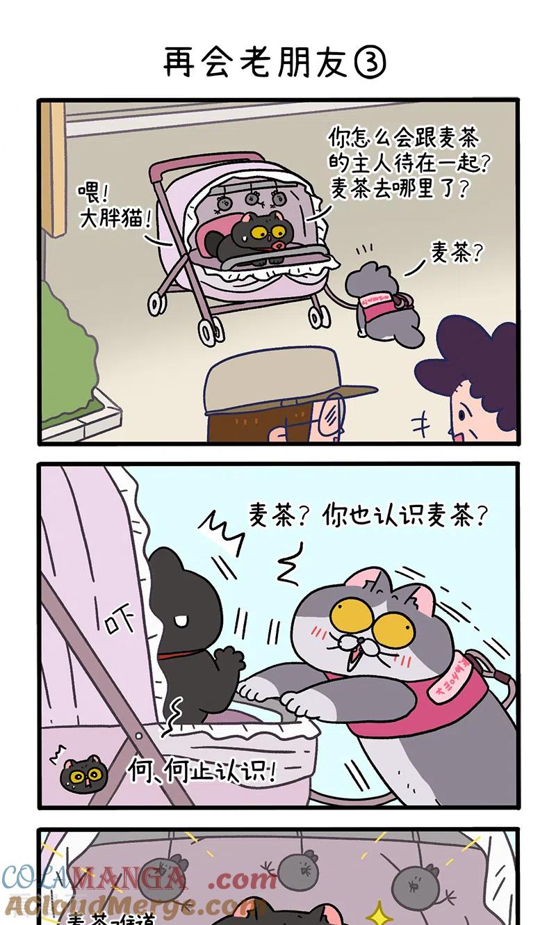 第96话1再会老朋友-阿满和麦茶-新漫画 日胖大海寺（第5张）