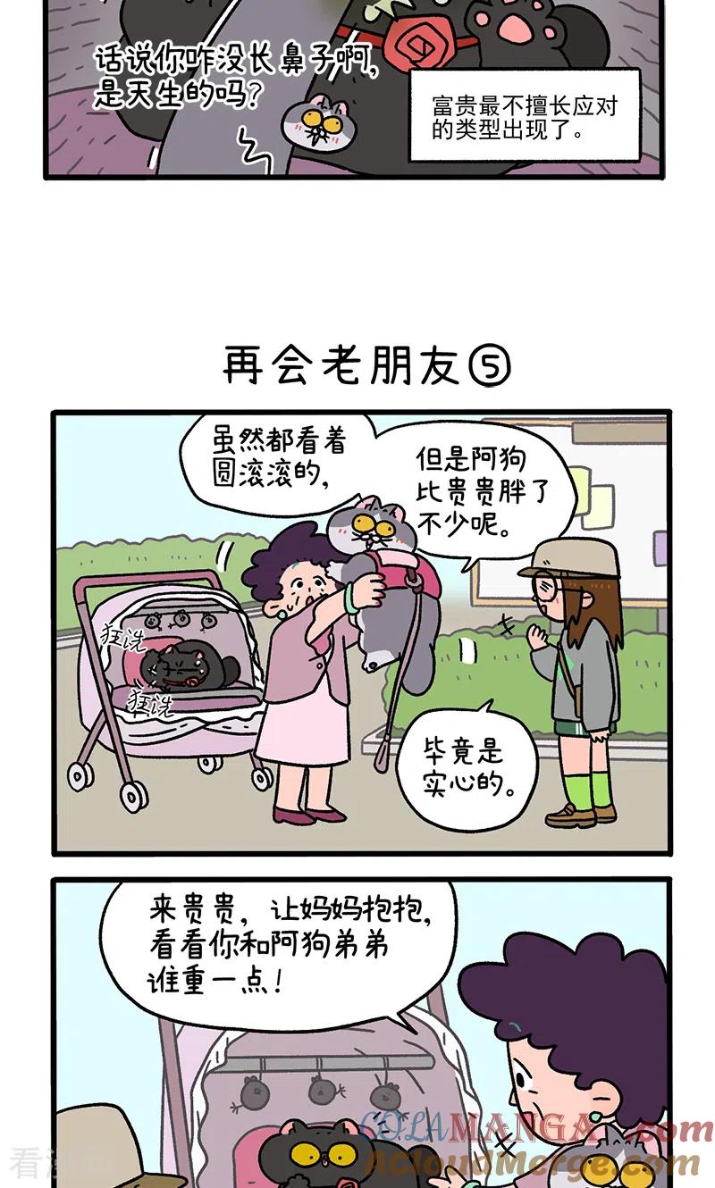 第96话2再会老朋友-阿满和麦茶-新漫画 日胖大海寺（第3张）