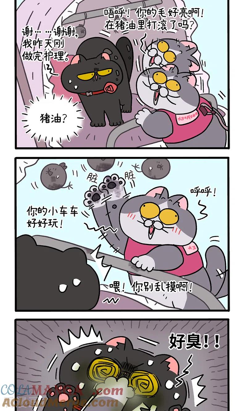 第96话2再会老朋友-阿满和麦茶-新漫画 日胖大海寺（第2张）