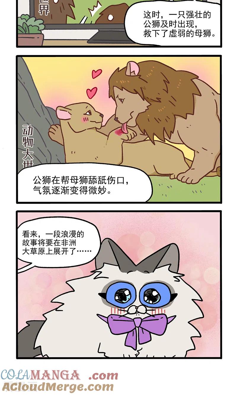 第97话1思春期-阿满和麦茶-新漫画 日胖大海寺（第4张）