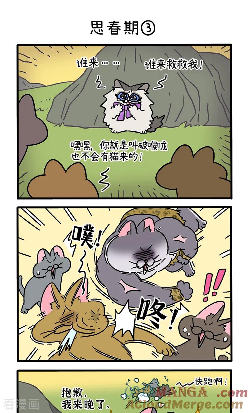 第97话1思春期-阿满和麦茶-新漫画 日胖大海寺（第5张）