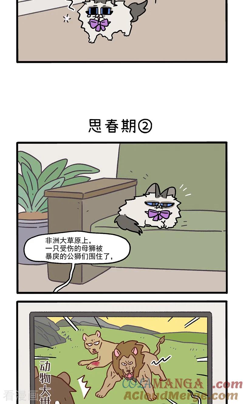 第97话1思春期-阿满和麦茶-新漫画 日胖大海寺（第3张）