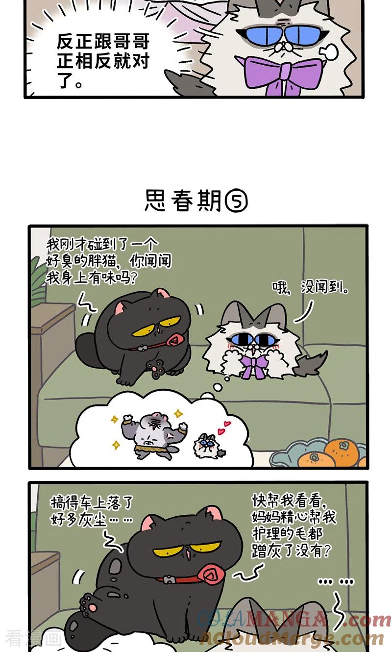 第97话2思春期-阿满和麦茶-新漫画 日胖大海寺（第3张）