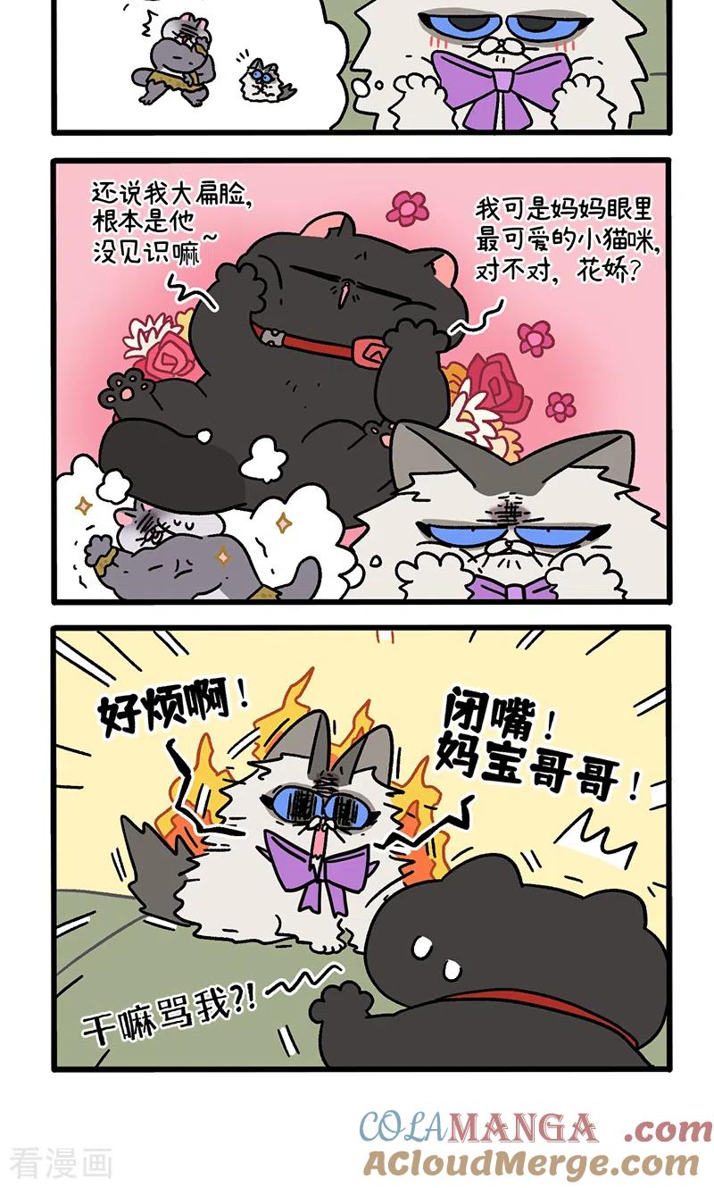 第97话2思春期-阿满和麦茶-新漫画 日胖大海寺（第4张）