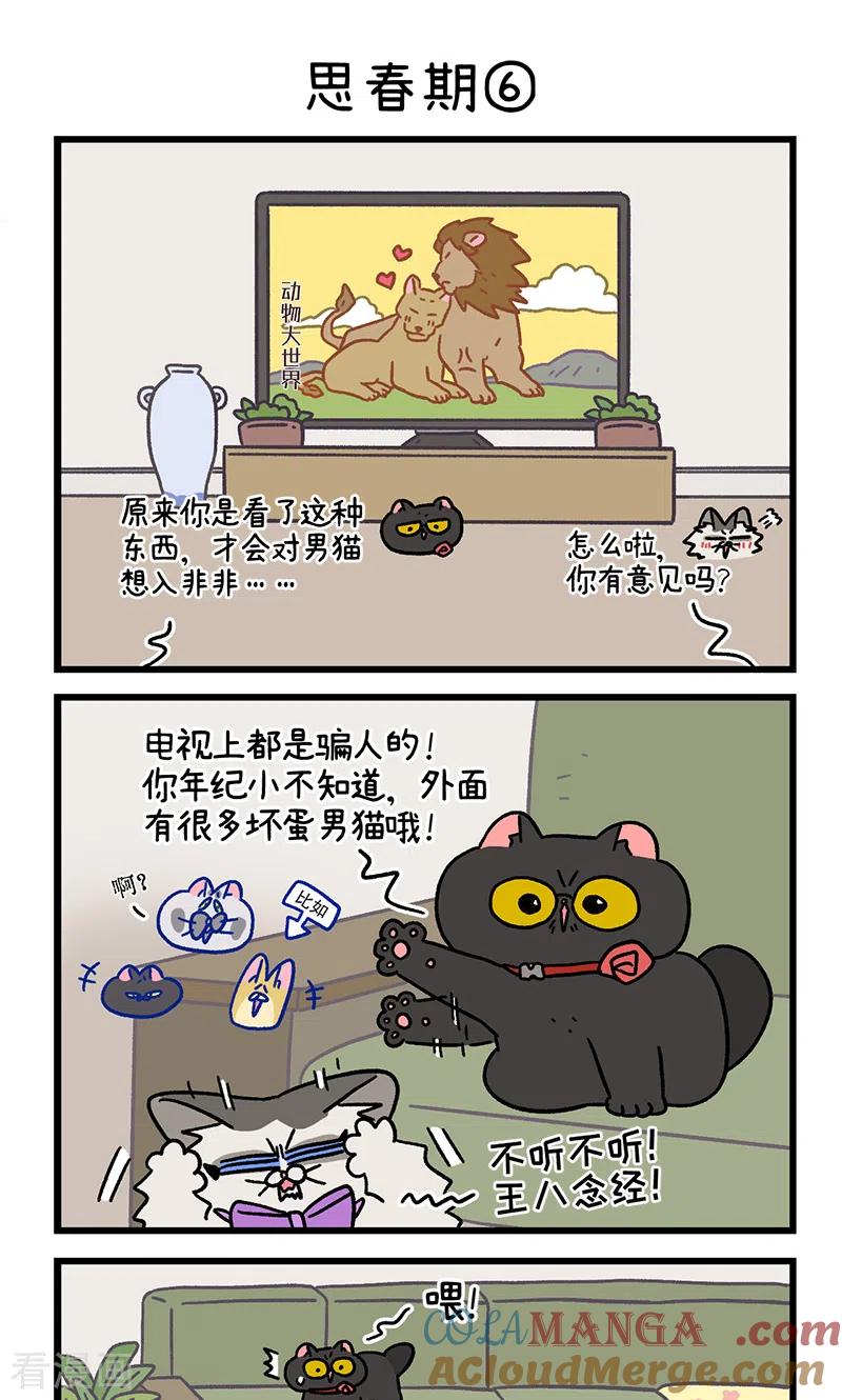 第97话2思春期-阿满和麦茶-新漫画 日胖大海寺（第5张）