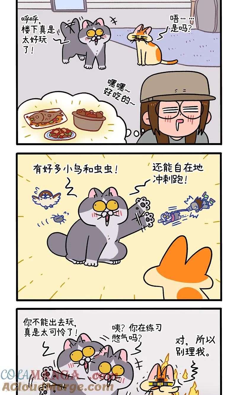 第98话1当糙汉来敲门-阿满和麦茶-新漫画 日胖大海寺（第2张）
