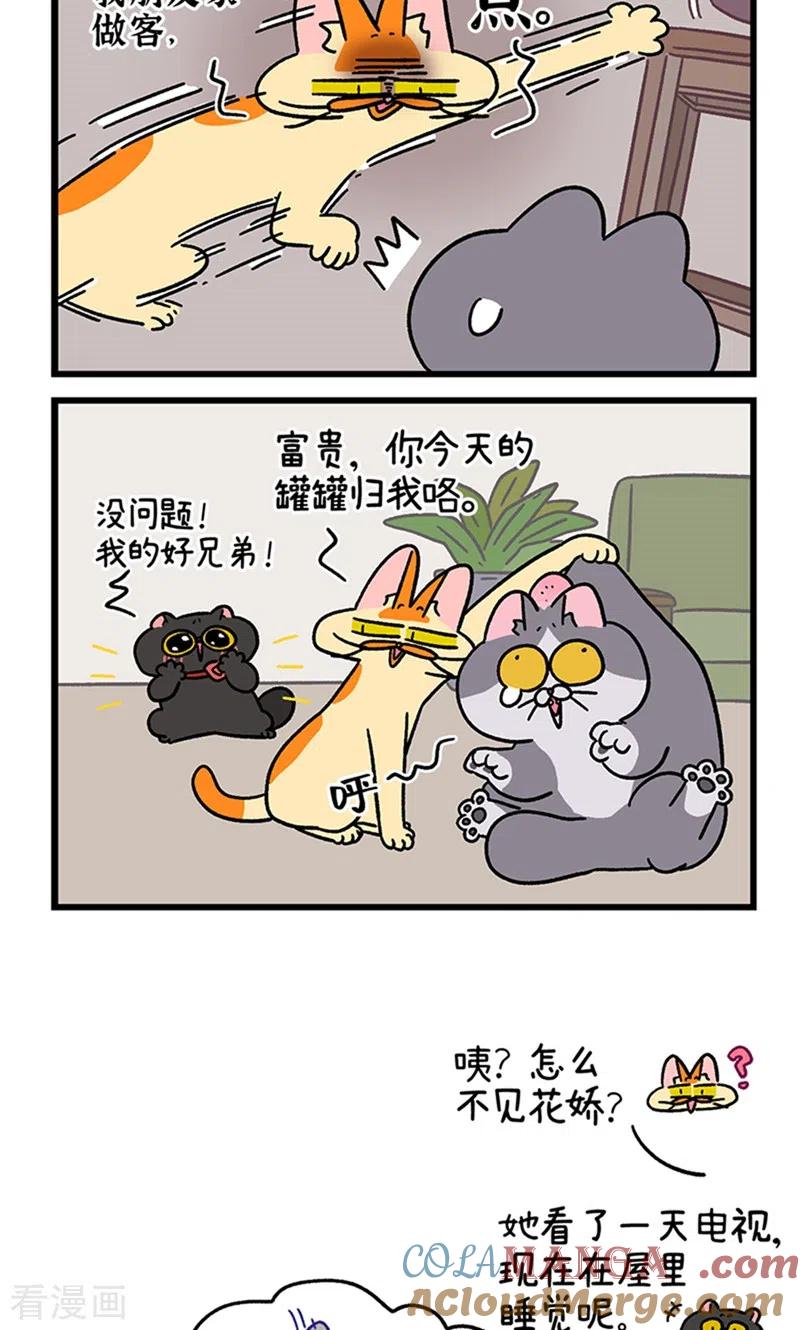 第98话2当糙汉来敲门-阿满和麦茶-新漫画 日胖大海寺（第6张）