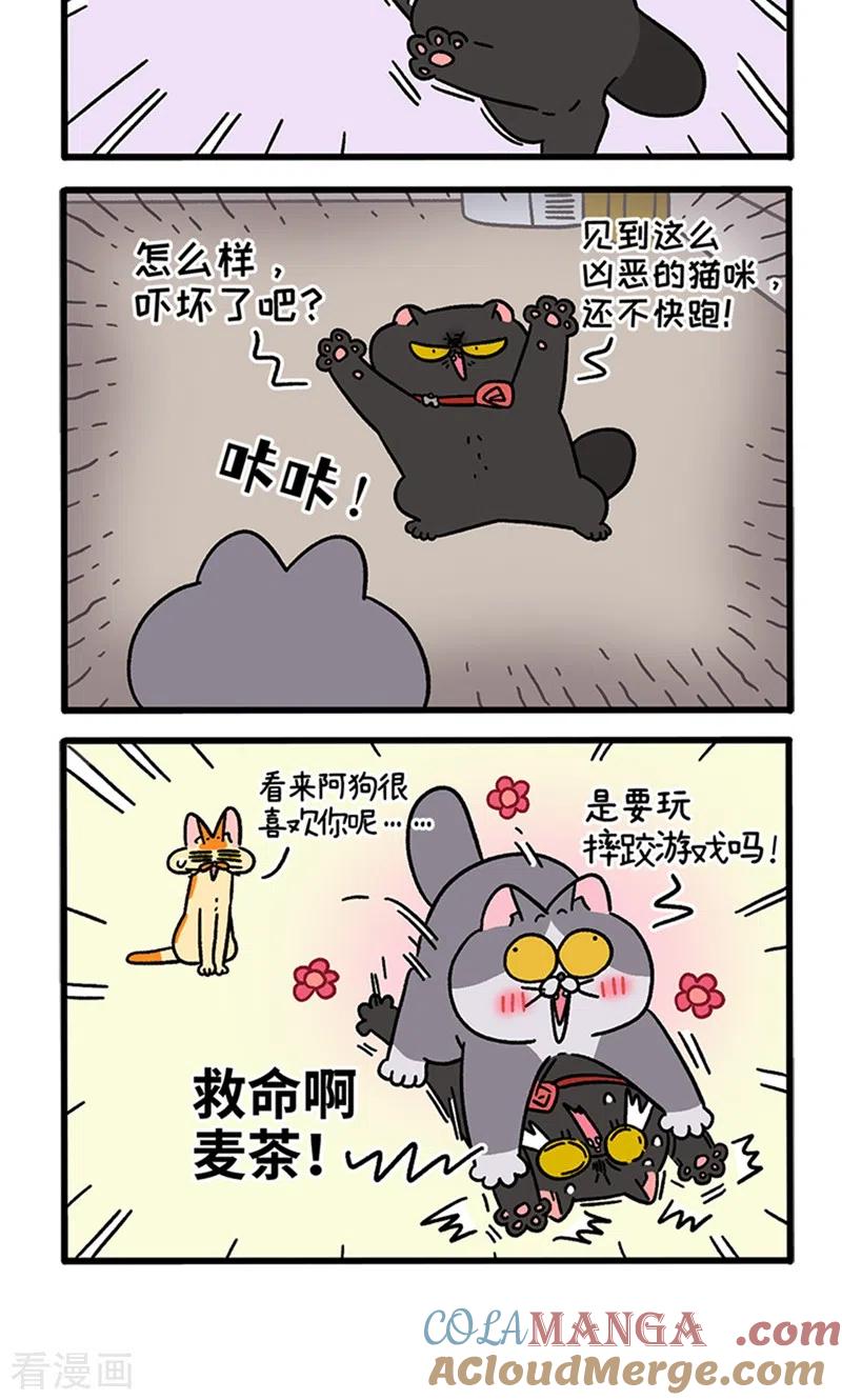 第98话2当糙汉来敲门-阿满和麦茶-新漫画 日胖大海寺（第4张）