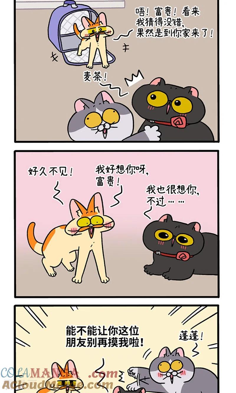 第98话2当糙汉来敲门-阿满和麦茶-新漫画 日胖大海寺（第2张）