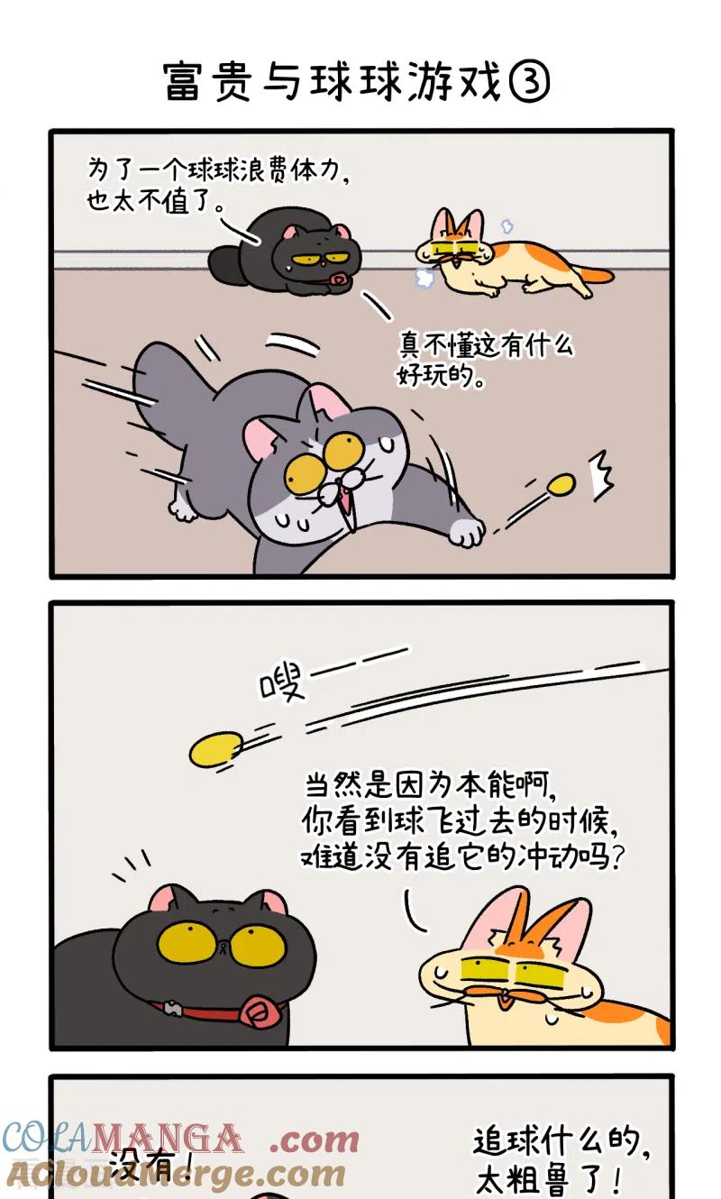 第99话1富贵与球球游戏-阿满和麦茶-新漫画 日胖大海寺（第5张）