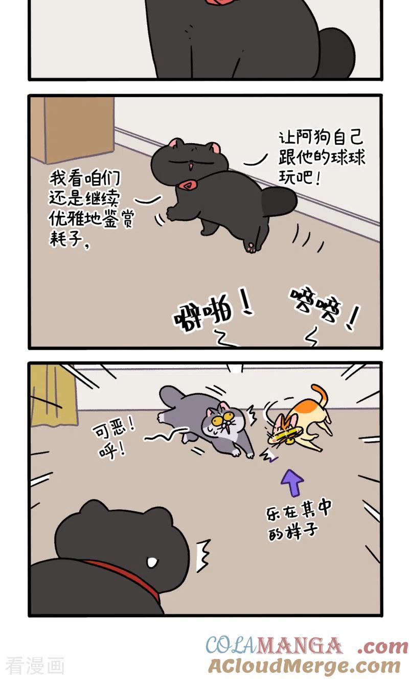 第99话1富贵与球球游戏-阿满和麦茶-新漫画 日胖大海寺（第4张）