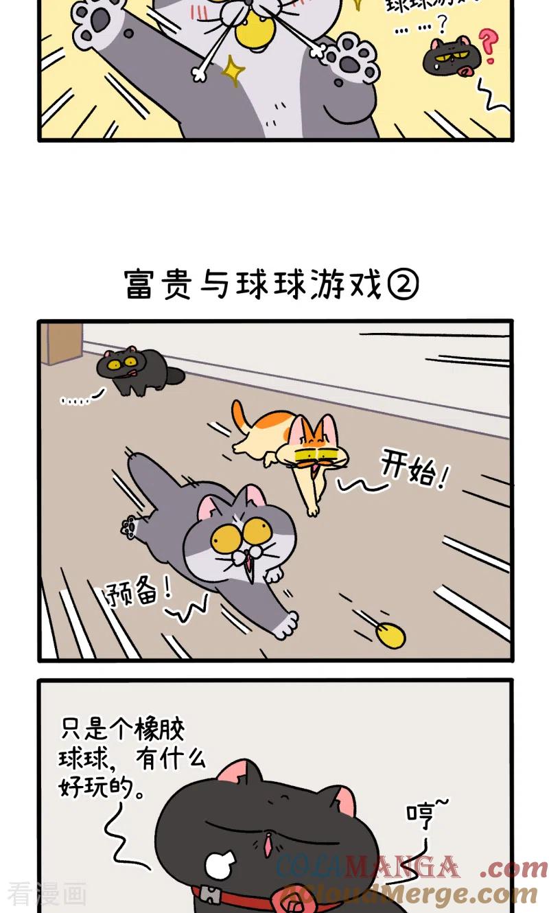 第99话1富贵与球球游戏-阿满和麦茶-新漫画 日胖大海寺（第3张）