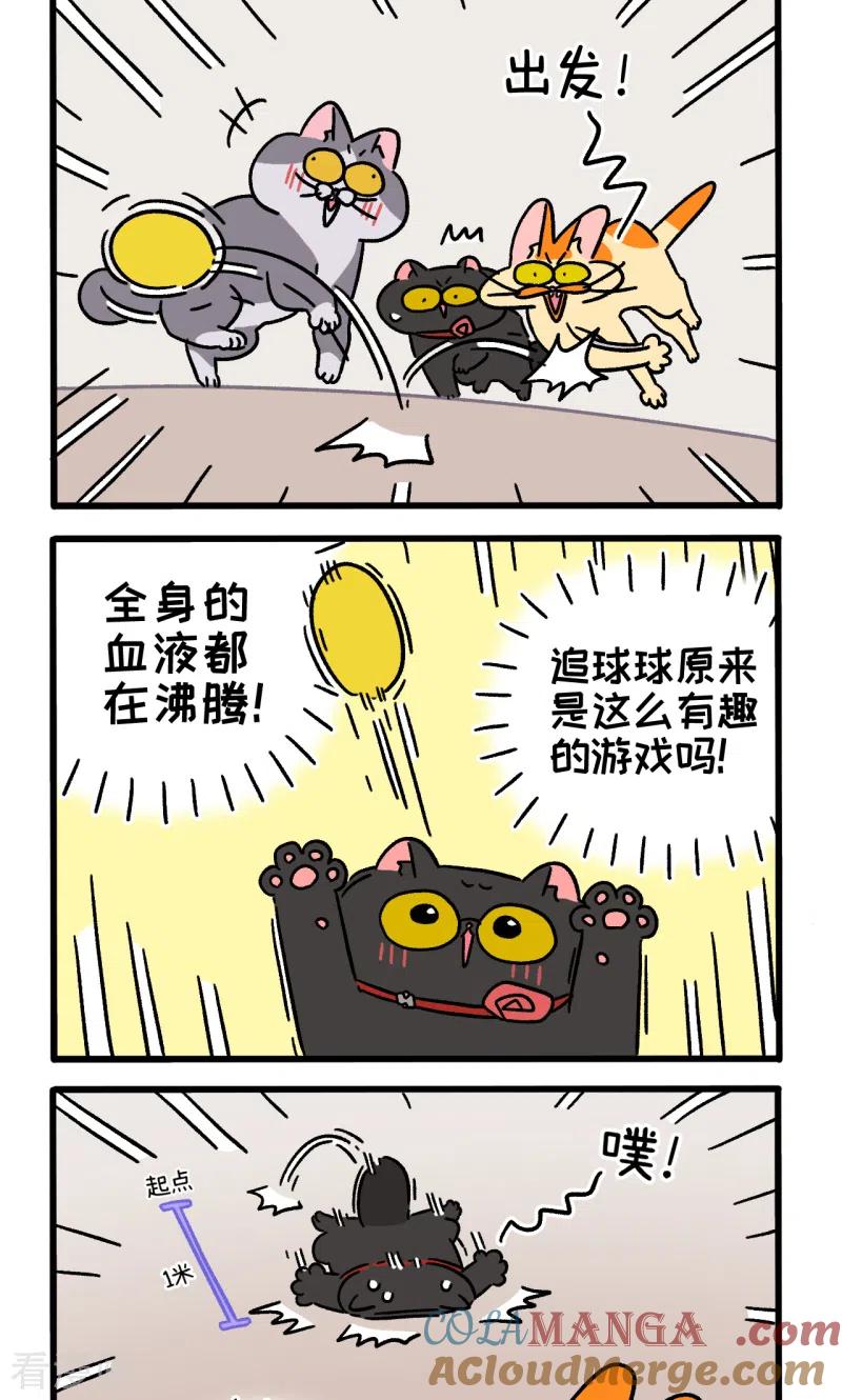 第99话2富贵与球球游戏-阿满和麦茶-新漫画 日胖大海寺（第2张）