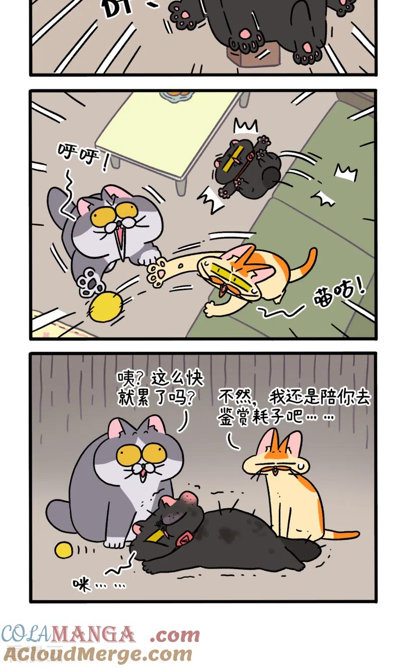第99话2富贵与球球游戏-阿满和麦茶-新漫画 日胖大海寺（第4张）