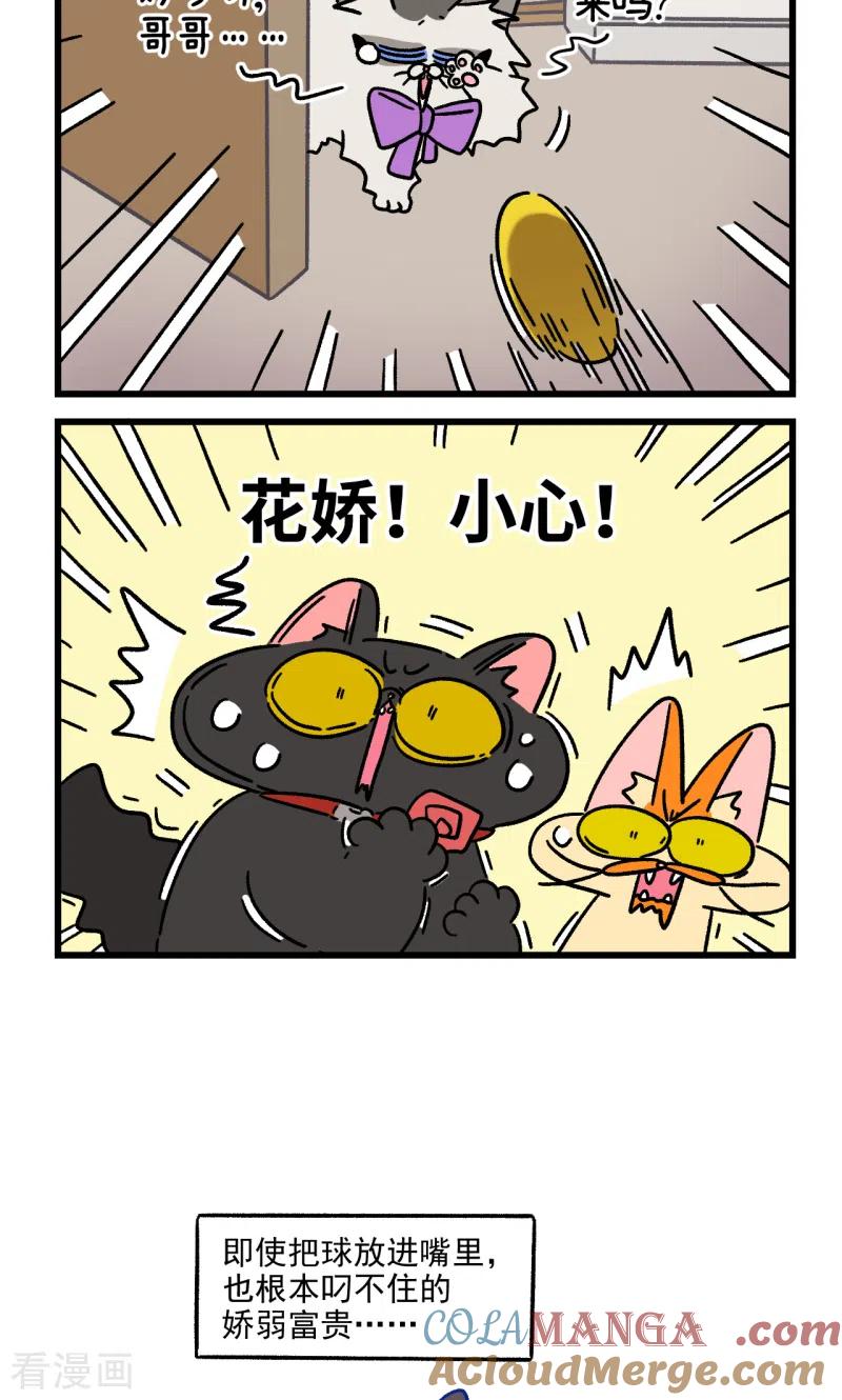 第99话2富贵与球球游戏-阿满和麦茶-新漫画 日胖大海寺（第6张）