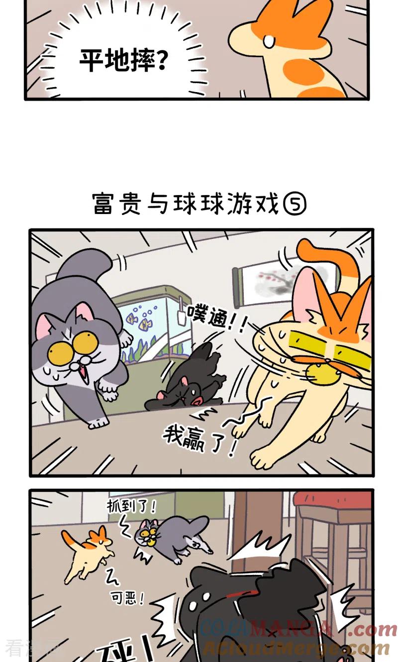 第99话2富贵与球球游戏-阿满和麦茶-新漫画 日胖大海寺（第3张）