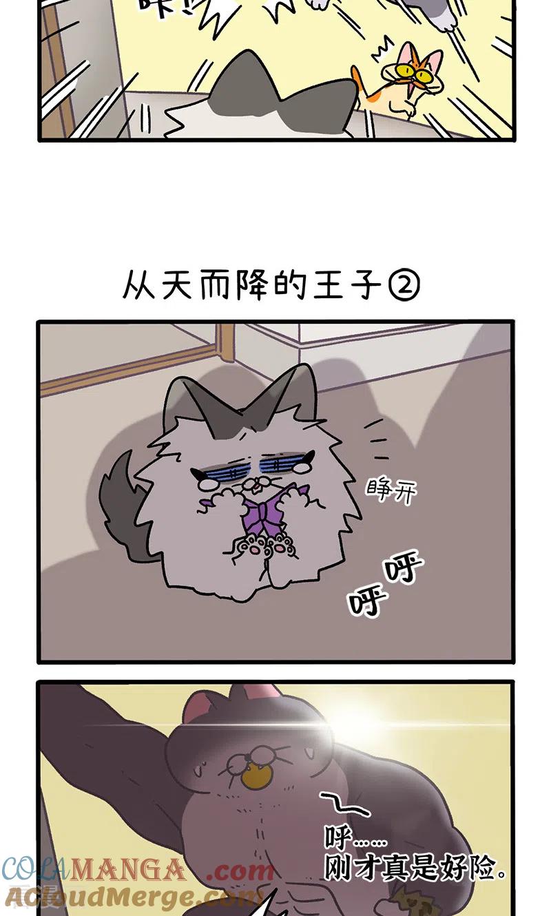 第100话1从天而降的王子-阿满和麦茶-新漫画 日胖大海寺（第3张）