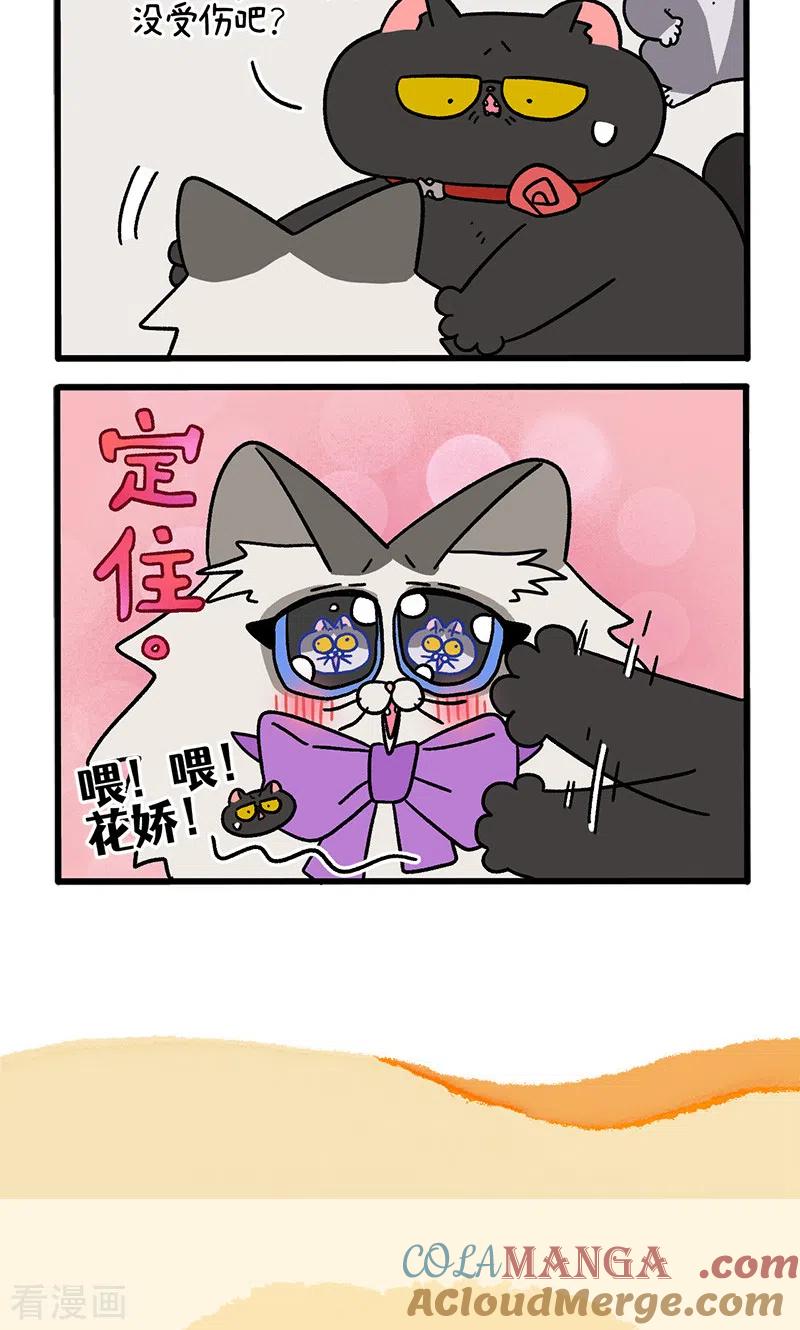 第100话1从天而降的王子-阿满和麦茶-新漫画 日胖大海寺（第6张）