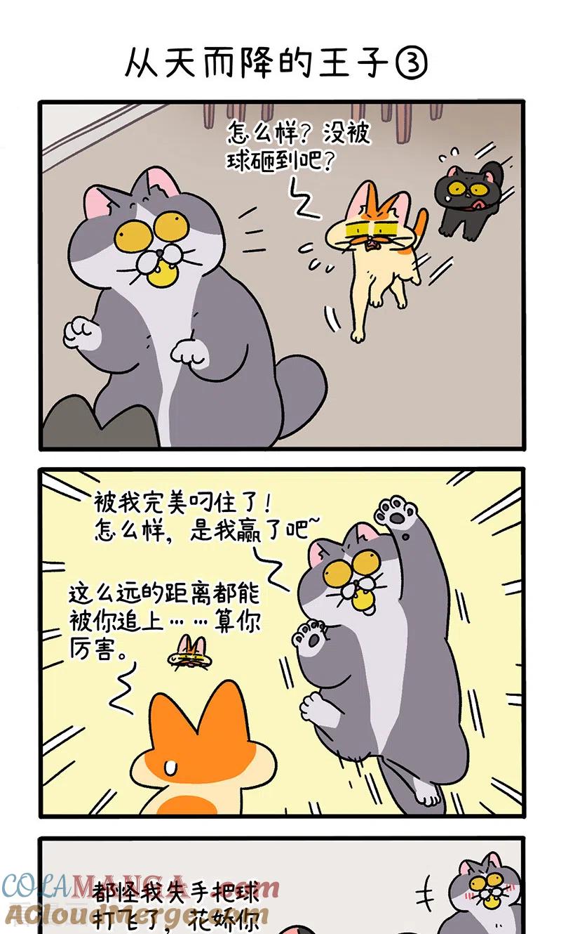 第100话1从天而降的王子-阿满和麦茶-新漫画 日胖大海寺（第5张）