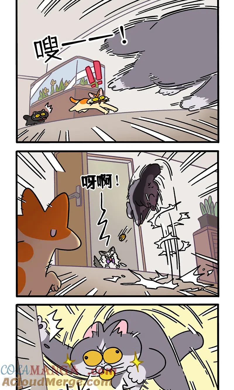 第100话1从天而降的王子-阿满和麦茶-新漫画 日胖大海寺（第2张）