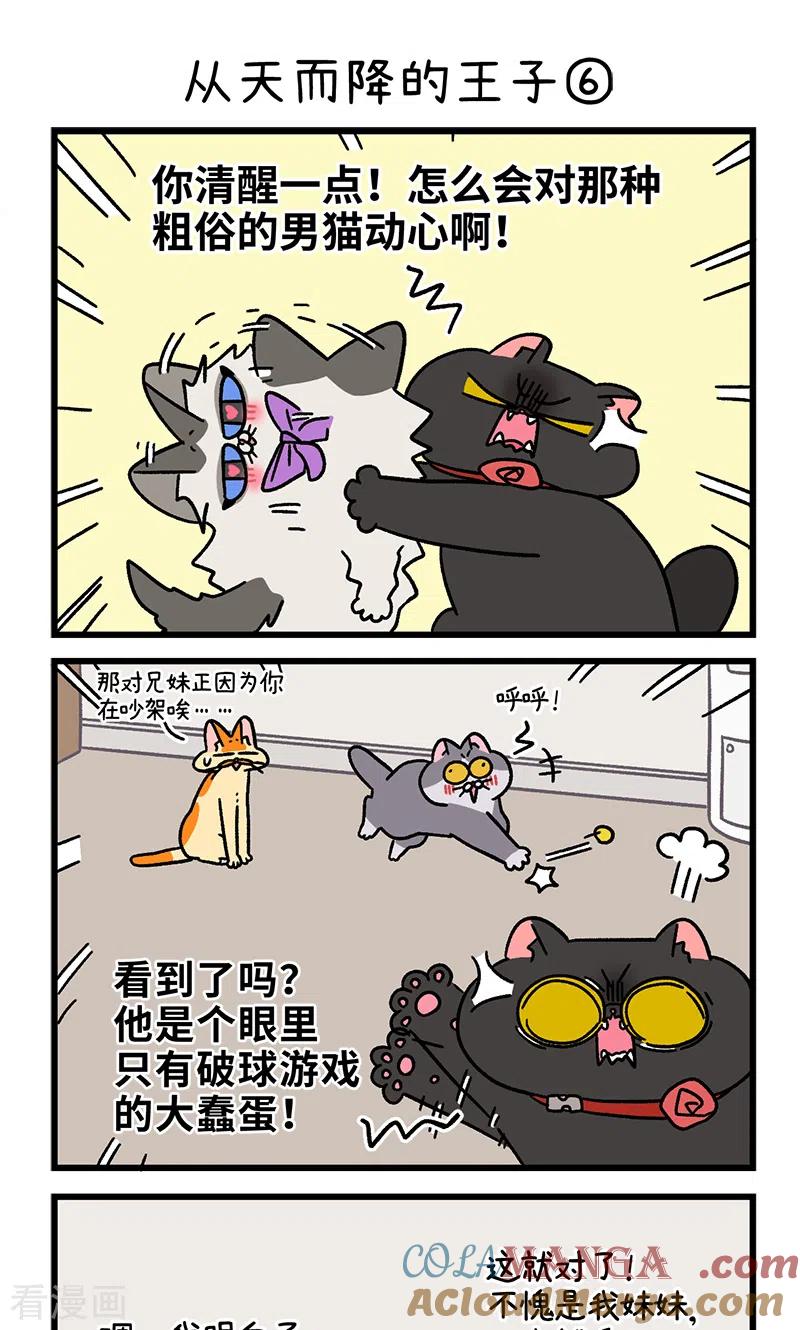 第100话2从天而降的王子-阿满和麦茶-新漫画 日胖大海寺（第5张）