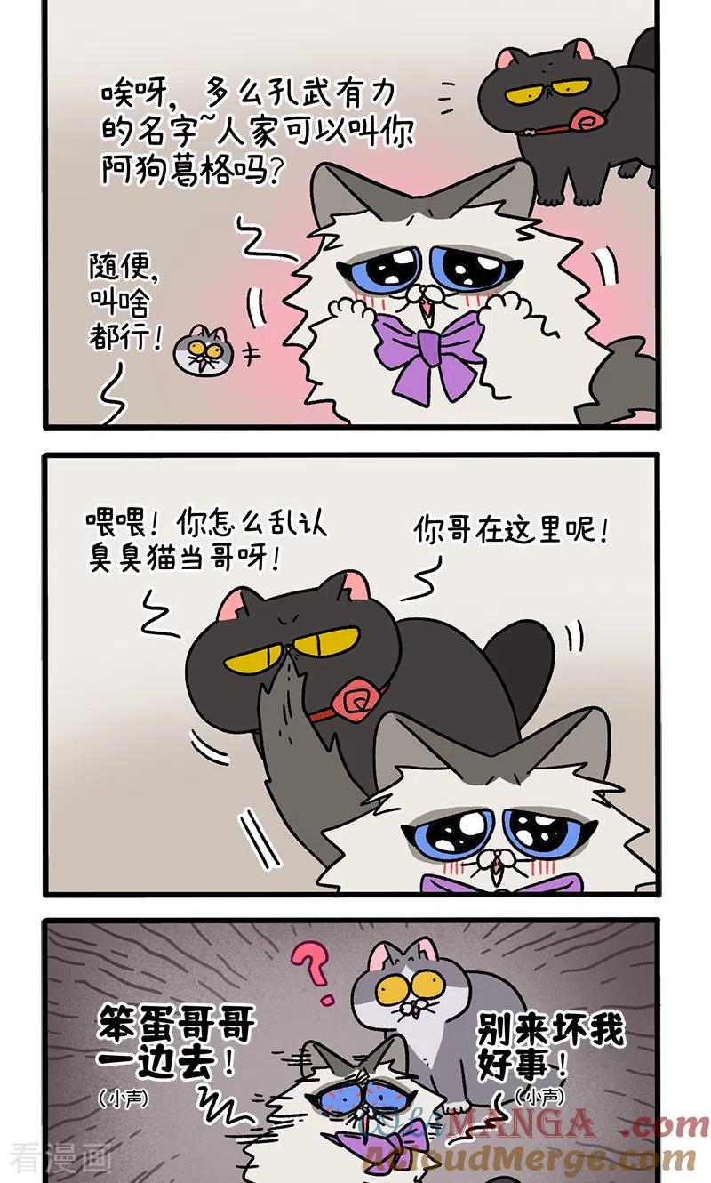 第100话2从天而降的王子-阿满和麦茶-新漫画 日胖大海寺（第2张）
