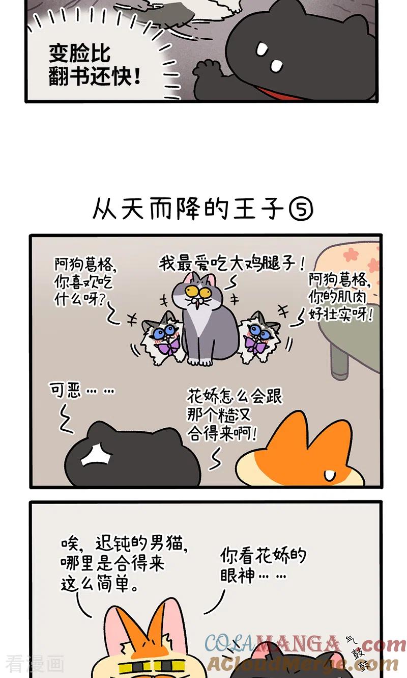 第100话2从天而降的王子-阿满和麦茶-新漫画 日胖大海寺（第3张）
