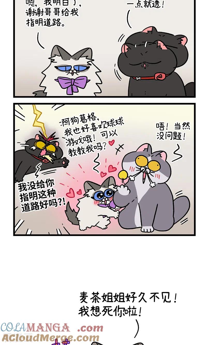 第100话2从天而降的王子-阿满和麦茶-新漫画 日胖大海寺（第6张）