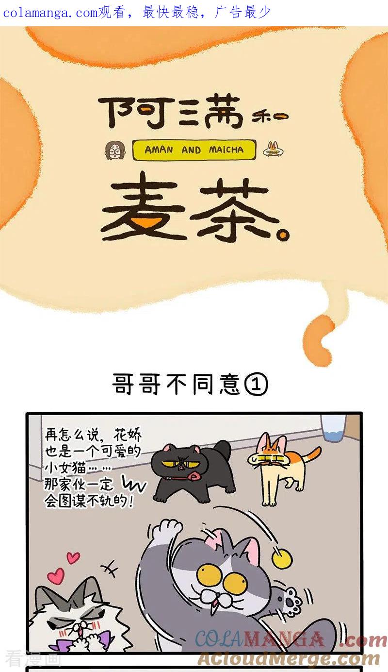 第101话1哥哥不同意-阿满和麦茶-新漫画 日胖大海寺（第1张）
