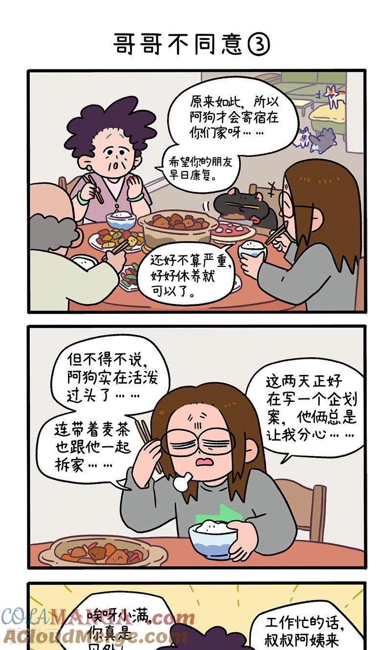 第101话1哥哥不同意-阿满和麦茶-新漫画 日胖大海寺（第5张）
