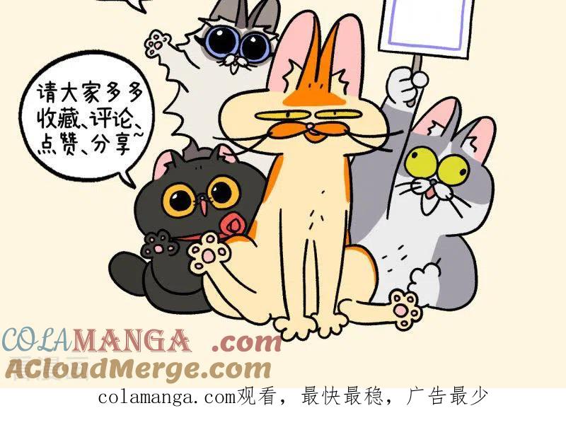 第101话1哥哥不同意-阿满和麦茶-新漫画 日胖大海寺（第10张）