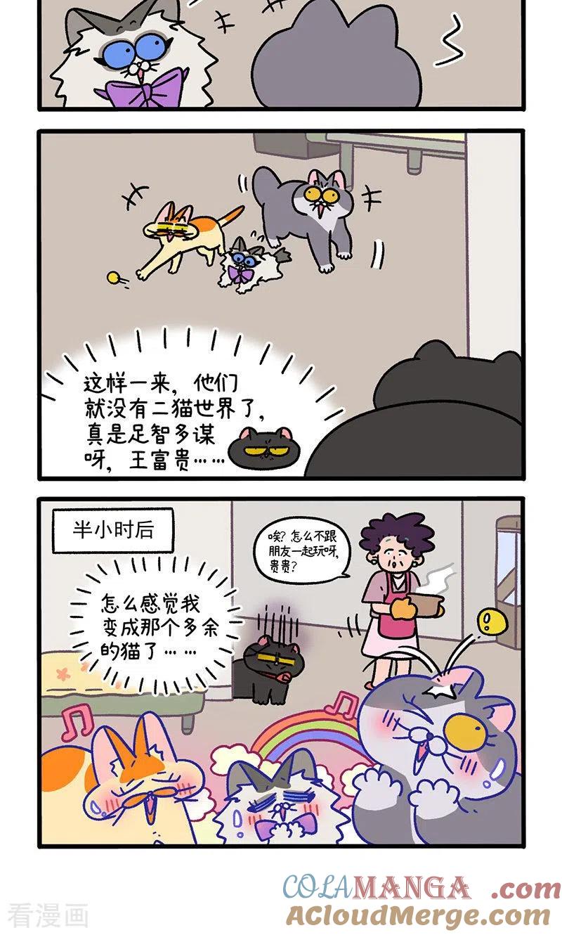 第101话1哥哥不同意-阿满和麦茶-新漫画 日胖大海寺（第4张）