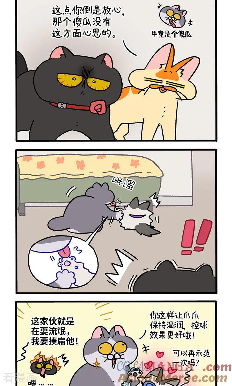 第101话1哥哥不同意-阿满和麦茶-新漫画 日胖大海寺（第2张）