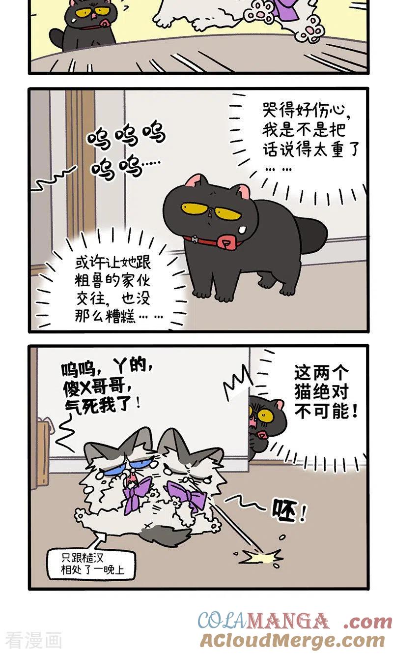 第101话2哥哥不同意-阿满和麦茶-新漫画 日胖大海寺（第4张）