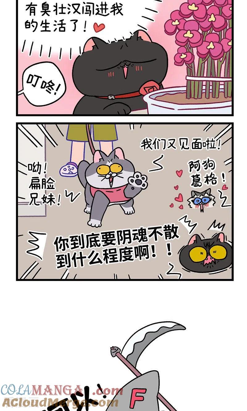 第101话2哥哥不同意-阿满和麦茶-新漫画 日胖大海寺（第6张）